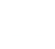 dp logo new1 cropped white